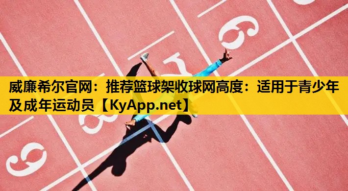推荐篮球架收球网高度：适用于青少年及成年运动员