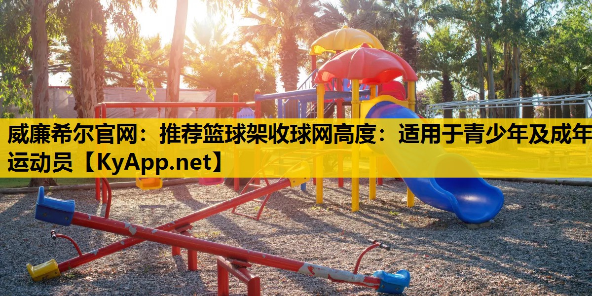 推荐篮球架收球网高度：适用于青少年及成年运动员