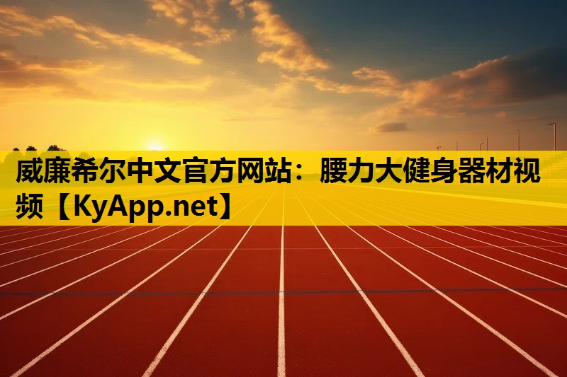 腰力大健身器材视频