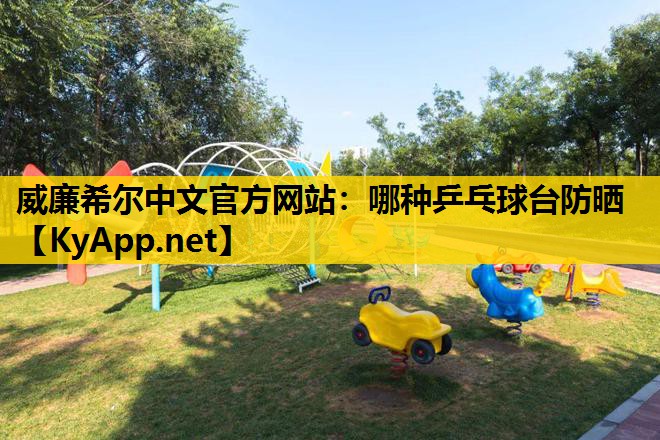 哪种乒乓球台防晒