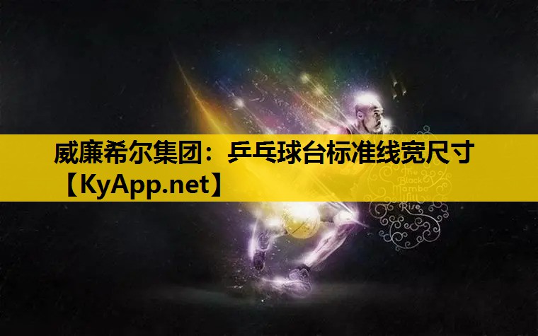 乒乓球台标准线宽尺寸
