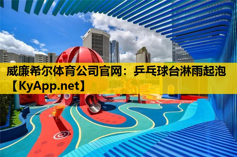 乒乓球台淋雨起泡