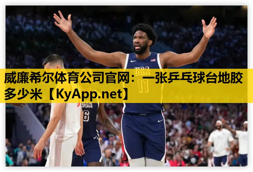 一张乒乓球台地胶多少米