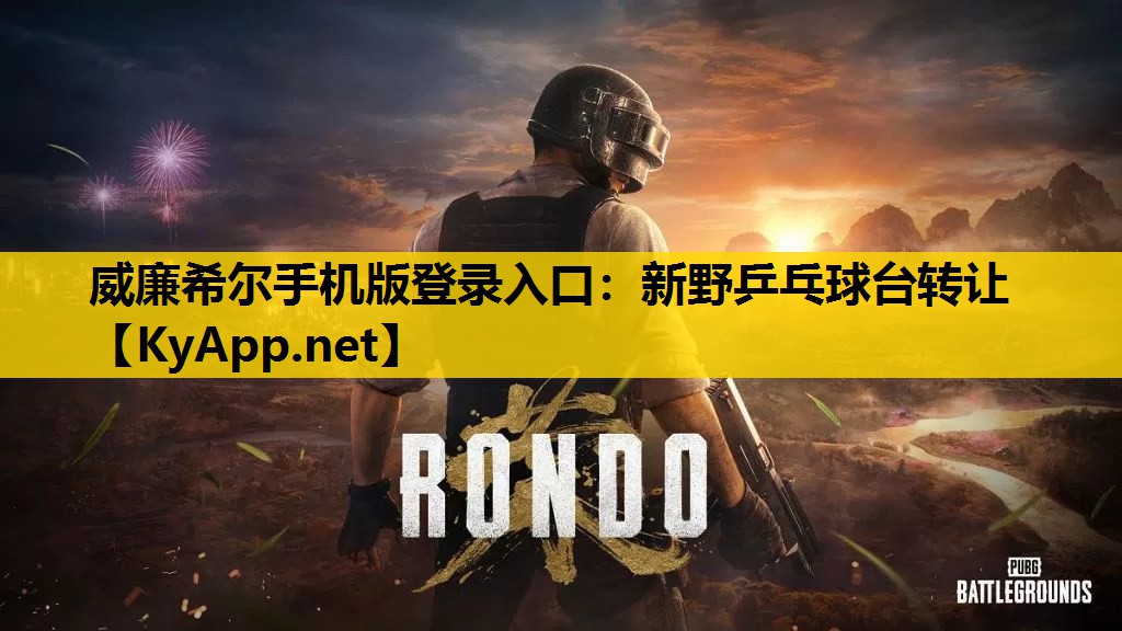 新野乒乓球台转让
