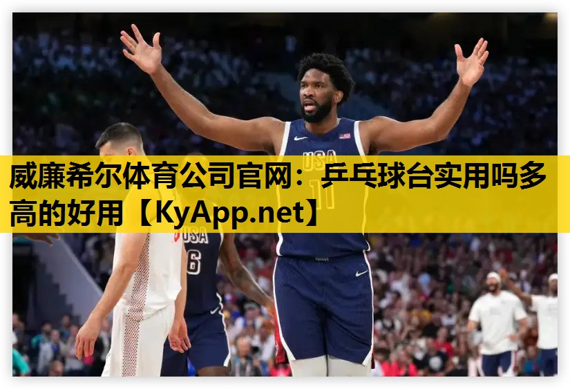 乒乓球台实用吗多高的好用