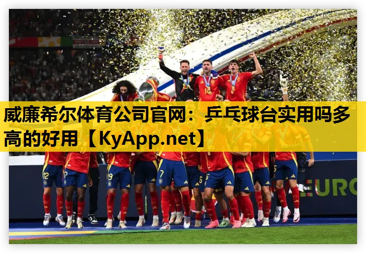 乒乓球台实用吗多高的好用