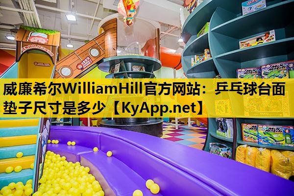 乒乓球台面垫子尺寸是多少