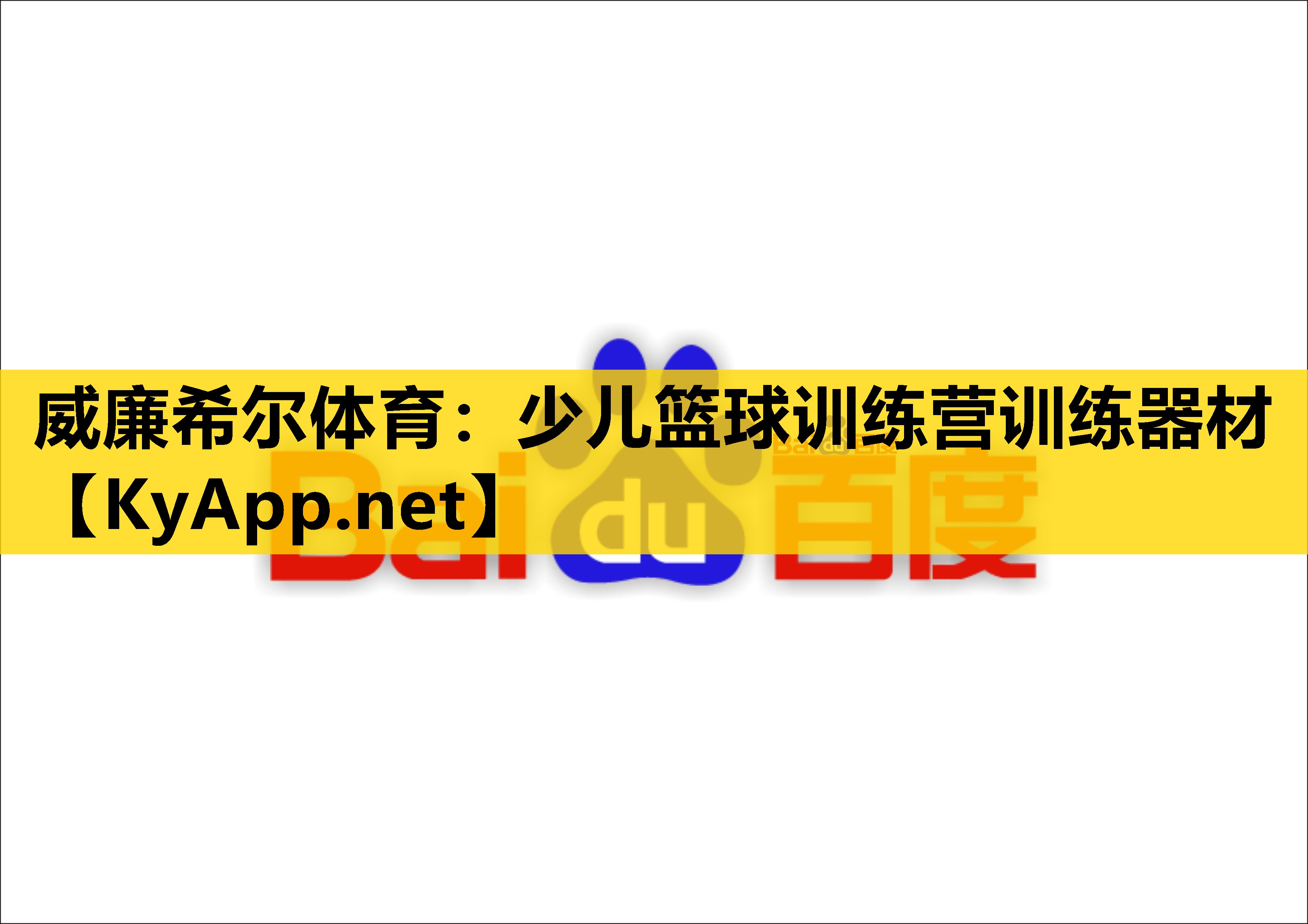 少儿篮球训练营训练器材
