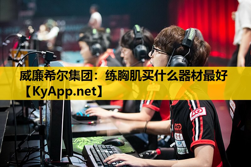 练胸肌买什么器材最好
