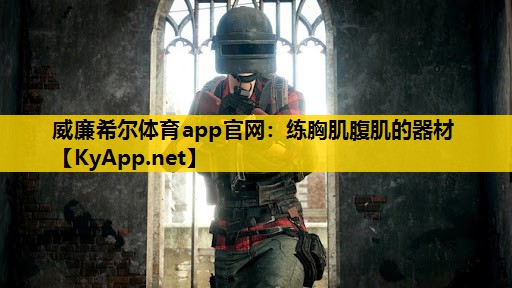 练胸肌腹肌的器材