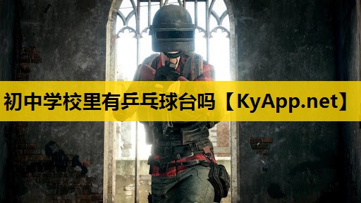初中学校里有乒乓球台吗
