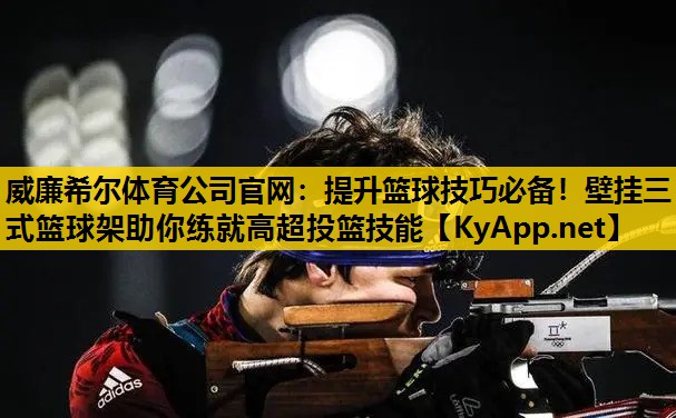 提升篮球技巧必备！壁挂三式篮球架助你练就高超投篮技能