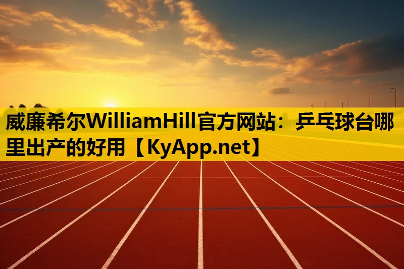 乒乓球台哪里出产的好用
