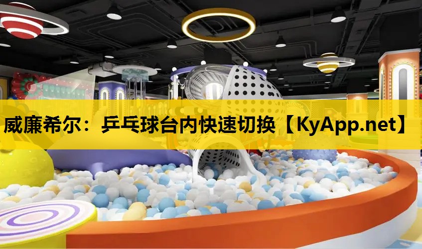 乒乓球台内快速切换