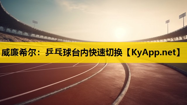 乒乓球台内快速切换