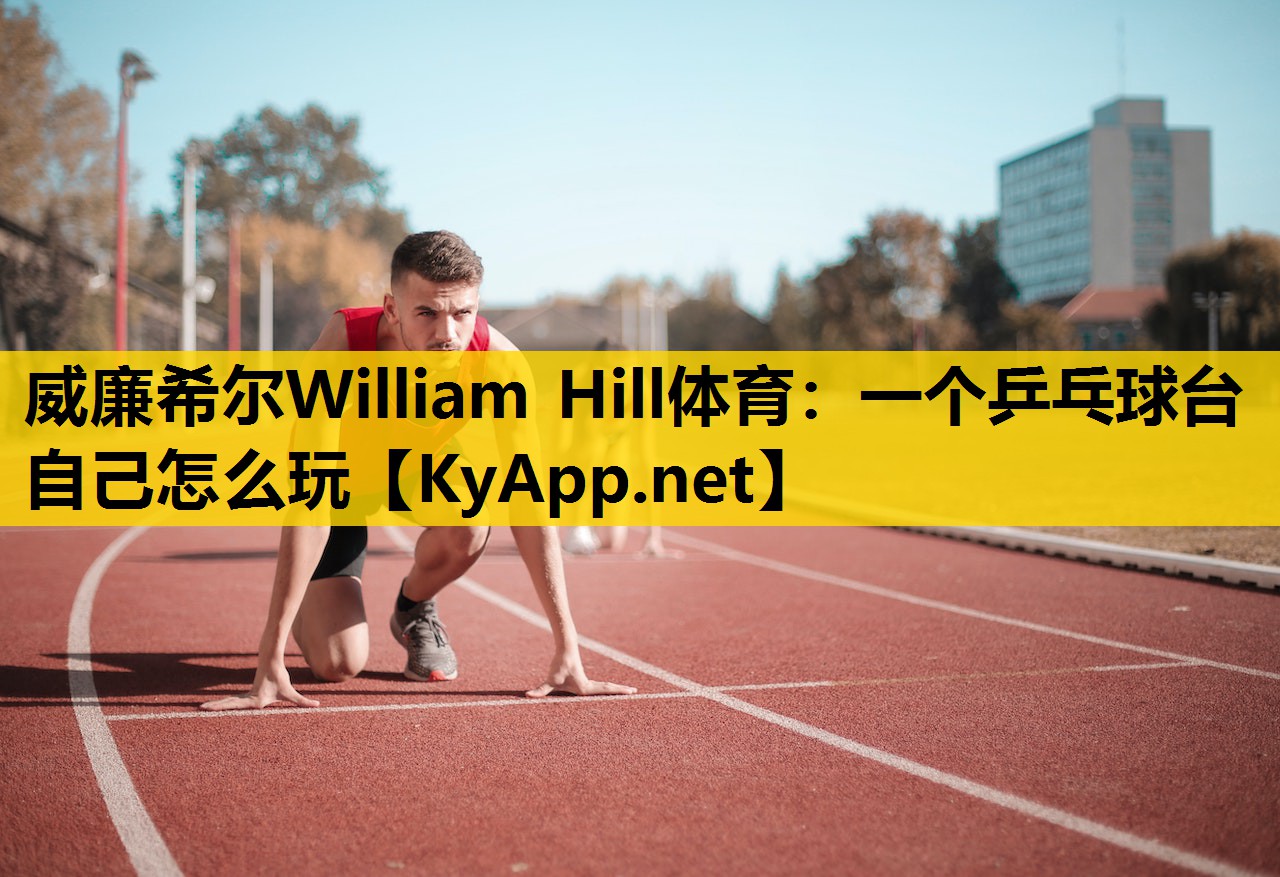 一个乒乓球台自己怎么玩