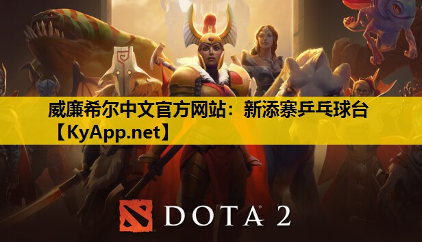 新添寨乒乓球台