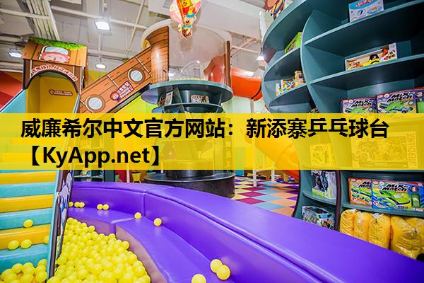 新添寨乒乓球台