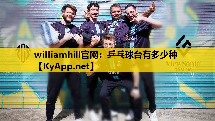 乒乓球台有多少种