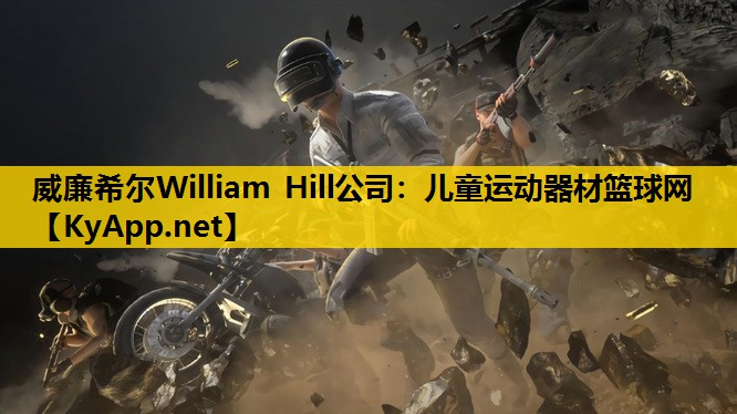 儿童运动器材篮球网