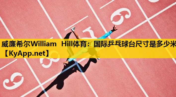 国际乒乓球台尺寸是多少米