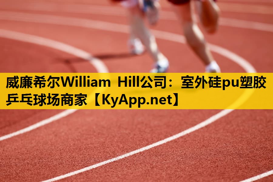 室外硅pu塑胶乒乓球场商家