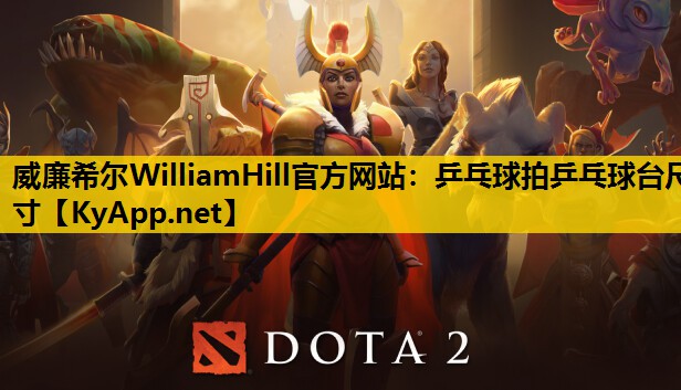 乒乓球拍乒乓球台尺寸