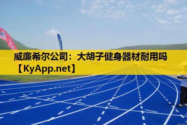 大胡子健身器材耐用吗