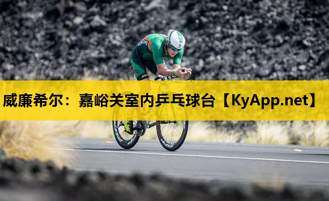 嘉峪关室内乒乓球台