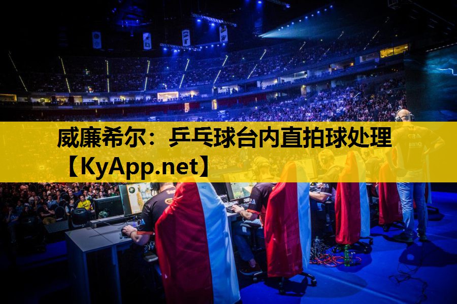 乒乓球台内直拍球处理