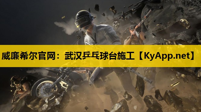 武汉乒乓球台施工